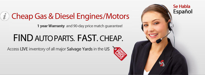 
      Cheap gas & diesel engine/Motors. 1-year warranty and 90 days price match guarantee
   